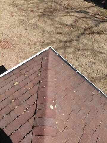 Roof after cleaning