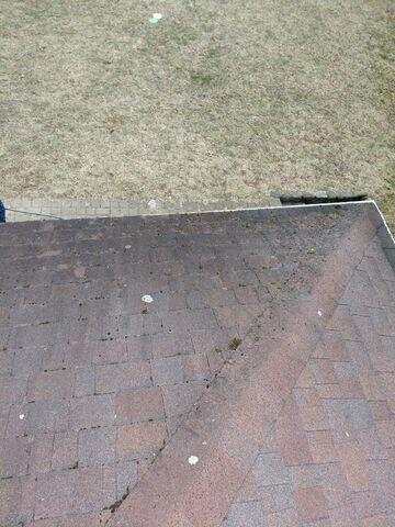 Roof before cleaning