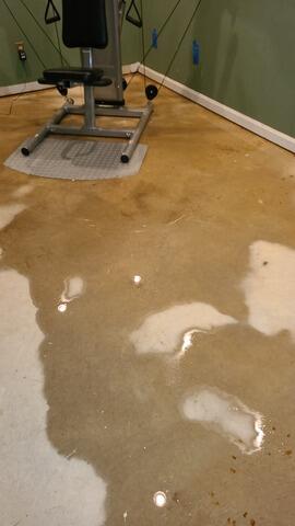 Damp Basement