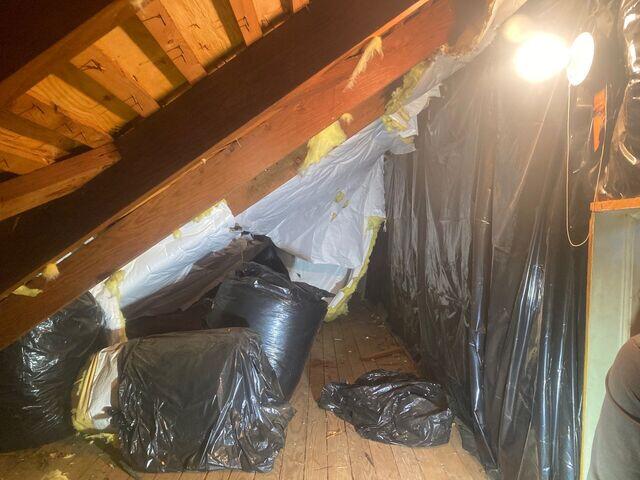 Insulation Upgrade in Newark, DE