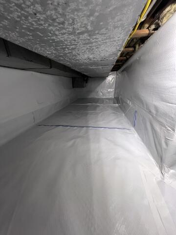 CleanSpace