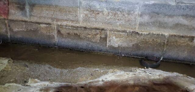 Moisture in Crawlspace