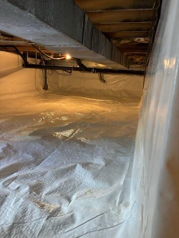 Crawl Space Repair