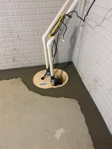 TripleSafe Sump Pump