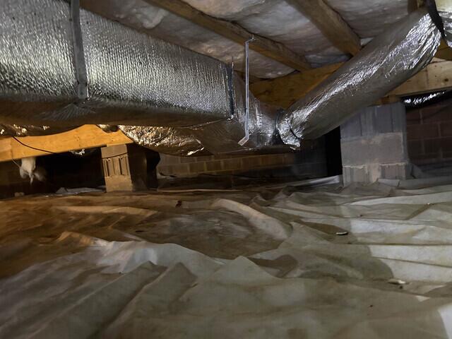 Existing Liner