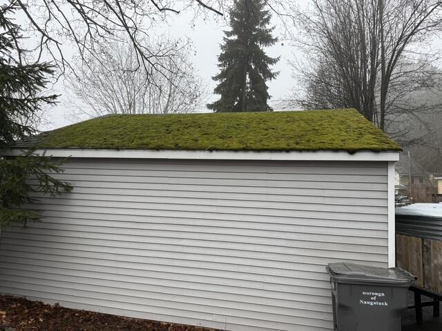 Mossy Mania