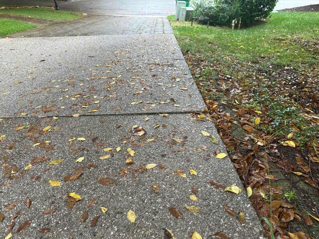 Dangerous Crack in Driveway