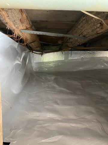 SilverGlo Panels