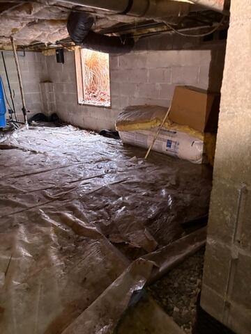 Damp Crawl Space