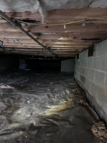 Crawl Space