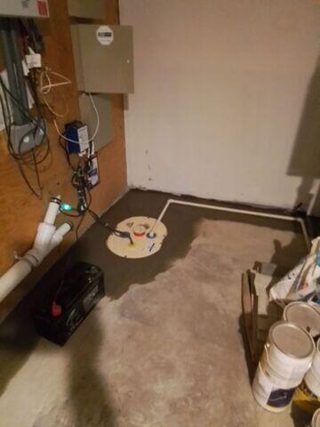 TripleSafe Sump Pump