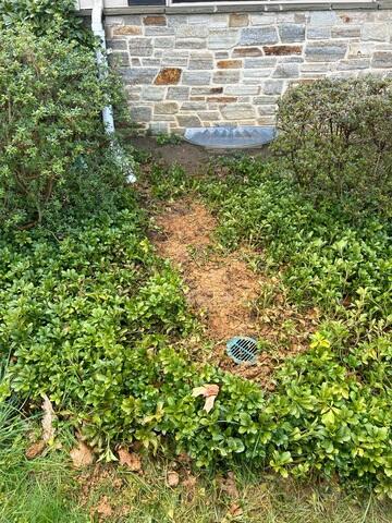 LawnScape
