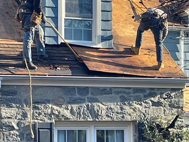 Bad Plywood Is Removed