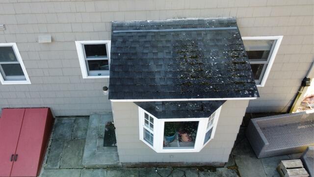 Before: Moss on the Bay