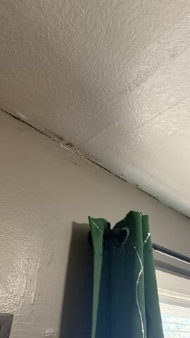 Wall Separating