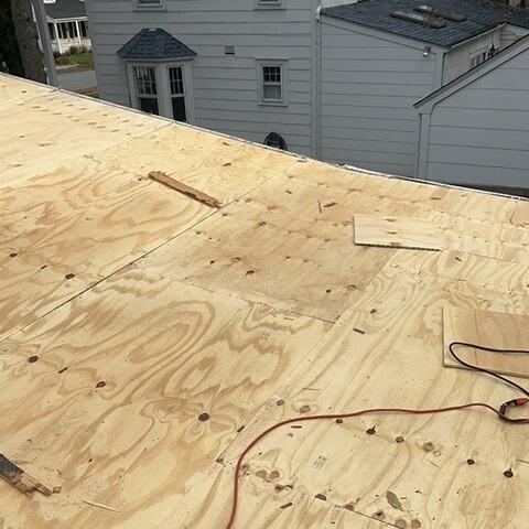 New Plywood