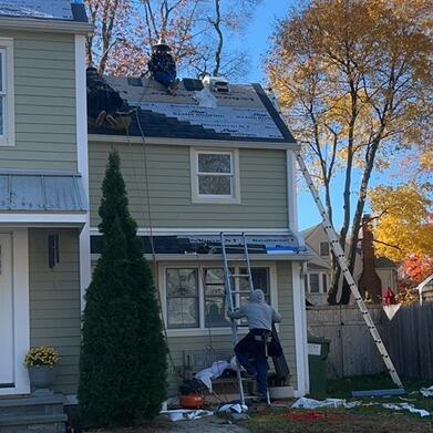 New Shingles