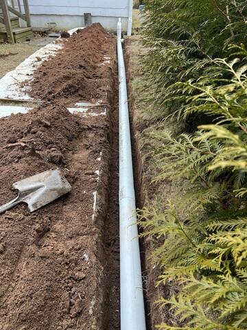 Discharge Line