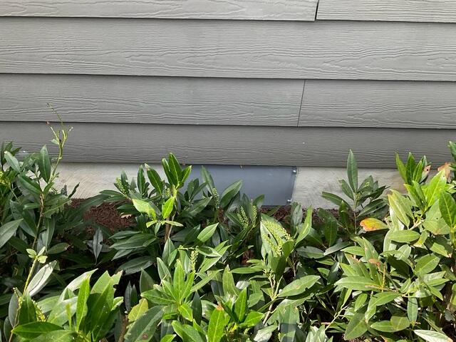 Vent Cover