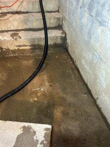 Basement Before Project Begins