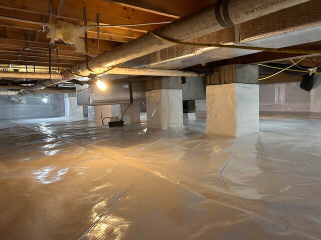 CleanSpace