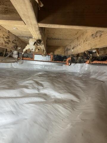 New Crawl Space
