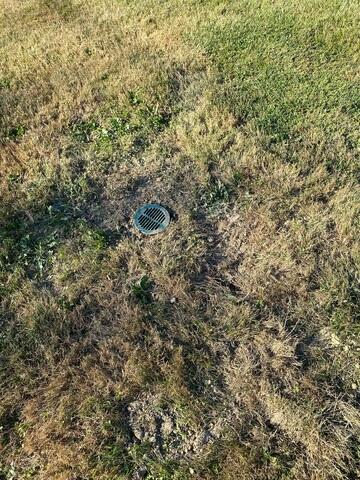 LawnScape