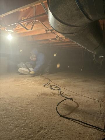 Mold Stainer Removed & MAPS 2