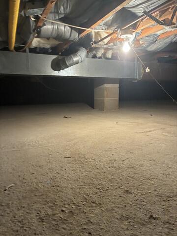 Prevent Mold from Returning