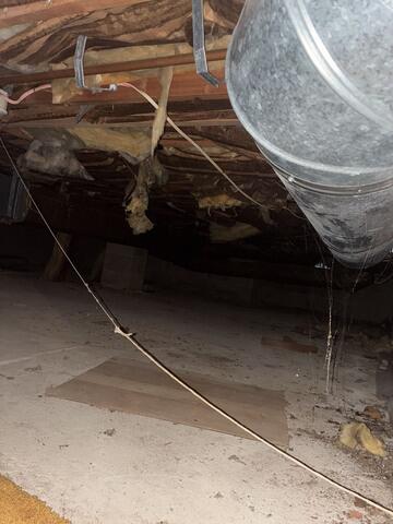 Moldy Crawl Space