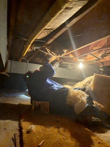 Replace the Insulation