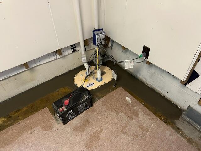 TripleSafe Sump Pump