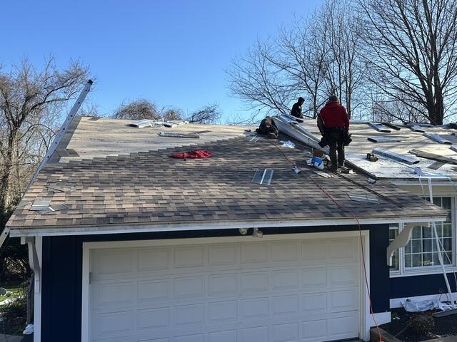 New Shingles