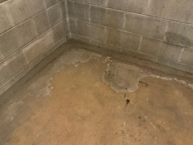 Basement Water Damage