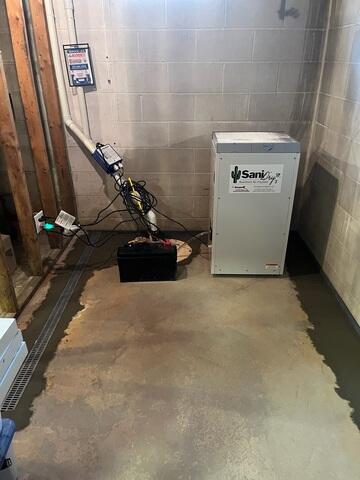 TripleSafe Sump Pump and SaniDry Sedona Dehumidifier