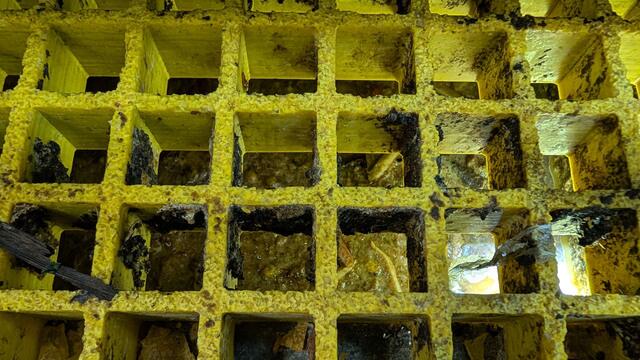 Gunk & Grease in the Floor Drains