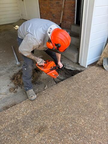 Chainsaw in Action: Tackling a Petrified Tree Root