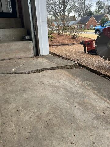Tree Root Damage Beneath Cracked Concrete