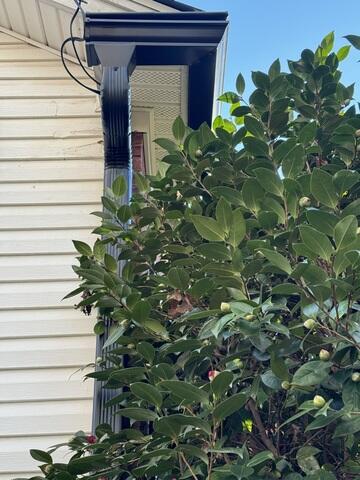 The crew even worked around this bush