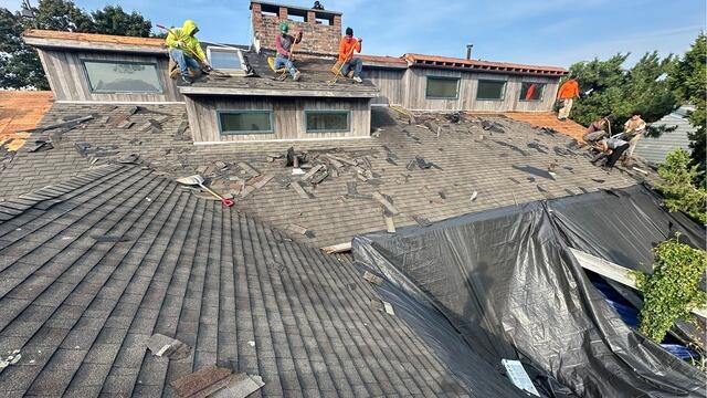 Stripping Off the Old Shingles