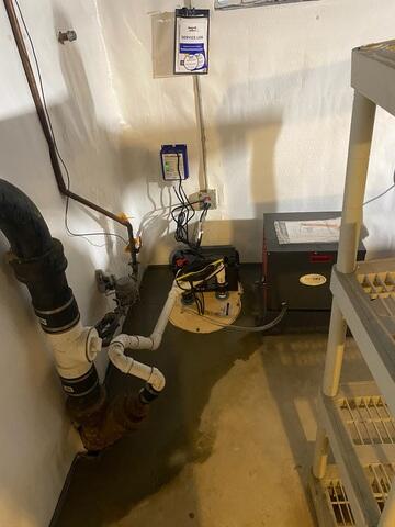 TripleSafe Sump Pump