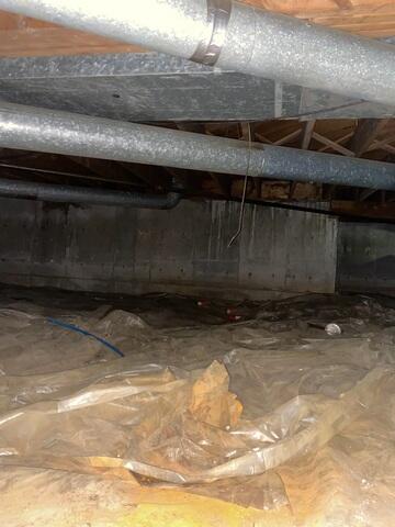 Wet Crawl Space