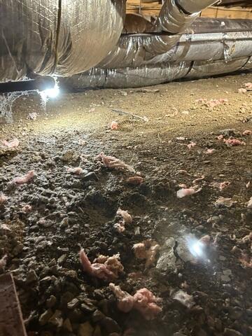 Crawl Space After Debris Removed
