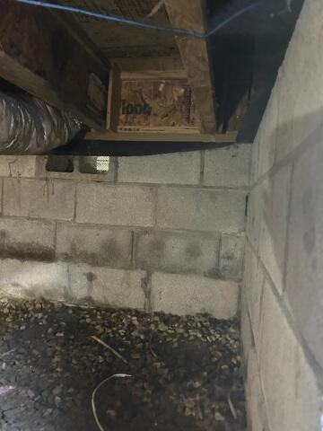 Water Damage
