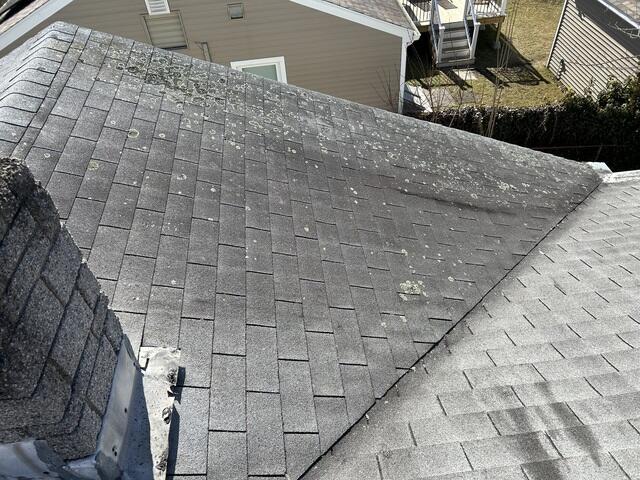 Before: Lichen Land
