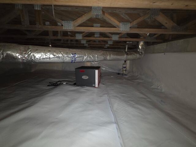 Crawl Space Dehumidifier