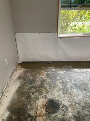 CleanSpace Wall Panels