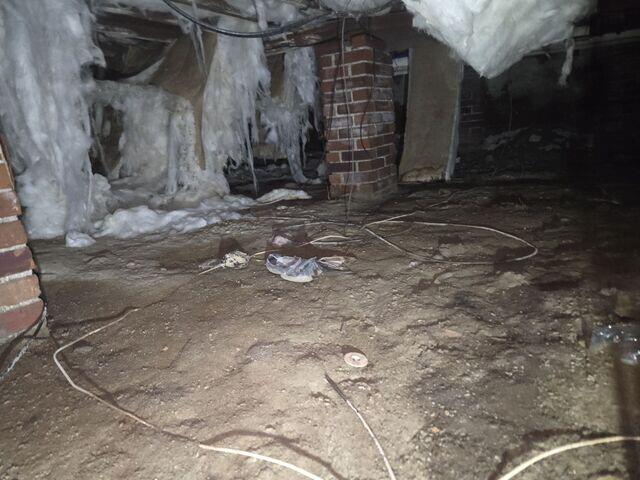 Crawl Space