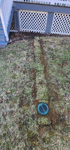 LawnScape