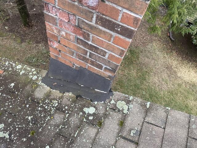Before: Moss, Lichen, & Cement